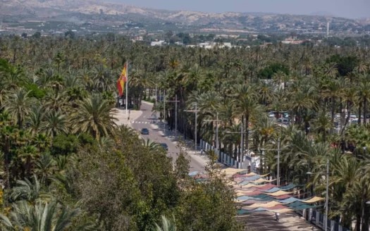 ¿Qué puedes ver en Elche?