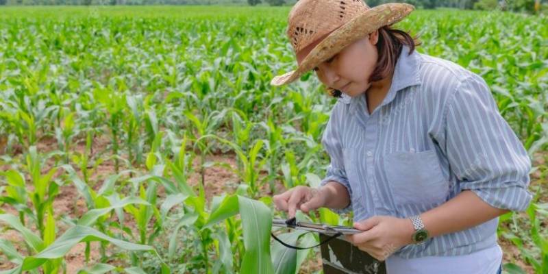 ¿Qué requisitos tengo que cumplir para ser agricultor en España?