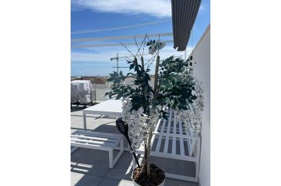 Reventa - Apartamento - Orihuela Costa - Villamartín
