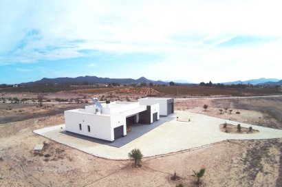 Obra nueva - Villa - Pinoso - Camino Del Prado