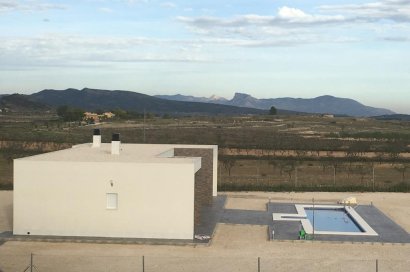 Obra nueva - Villa - Pinoso - Camino Del Prado
