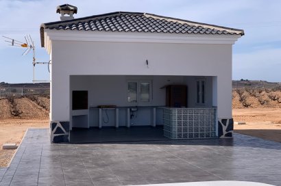 Obra nueva - Villa - Pinoso - Camino Del Prado