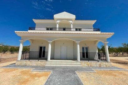 Obra nueva - Villa - Pinoso - Camino Del Prado