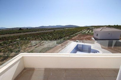 Obra nueva - Villa - Pinoso - Camino Del Prado