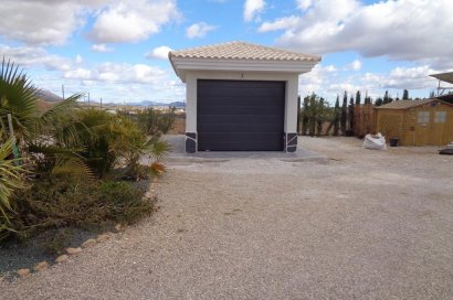 Obra nueva - Villa - Pinoso - Camino Del Prado