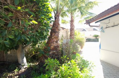 Reventa - Villa - Orihuela Costa - La Zenia