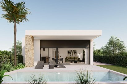 Obra nueva - Villa - Molina De Segura - Urb. La Quinta