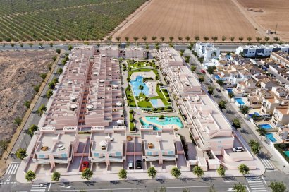 Obra nueva - Ático - Pilar de la Horadada - Lo Monte