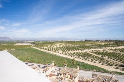 Obra nueva - Villa - Algorfa - La Finca Golf