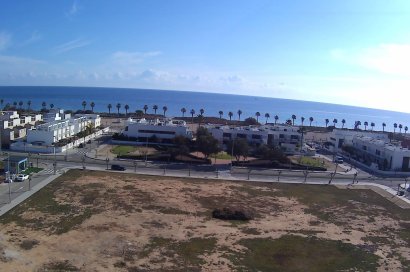 Obra nueva - Apartamento - Pilar de la Horadada - Playa de las Higuericas