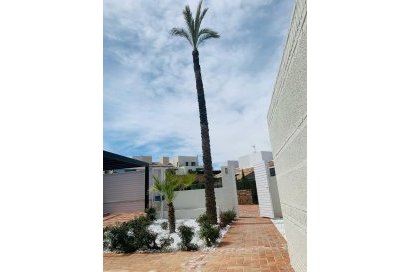 Obra nueva - Town House - Sucina - Peraleja Golf