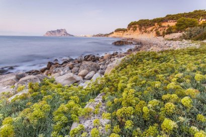 Obra nueva - Villa - Benissa - Cala Advocat