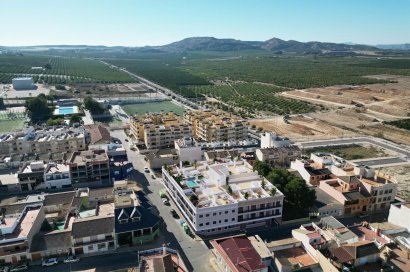 Obra nueva - Ático - Algorfa - Pueblo