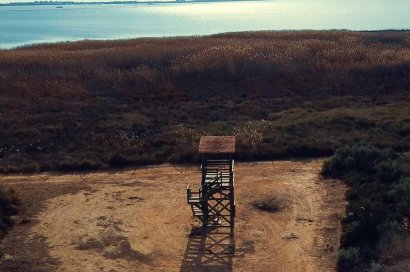 Obra nueva - Villa - Los Montesinos - La Herrada