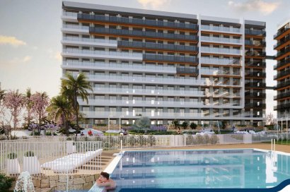 Obra nueva - Ático - Torrevieja - Punta Prima