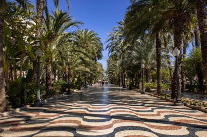 Obra nueva - Apartamento - Alicante - Centro