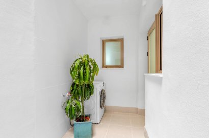 Obra nueva - Ático - Jacarilla - pueblo
