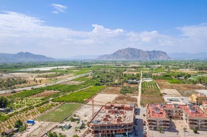 Obra nueva - Apartamento - Jacarilla - pueblo