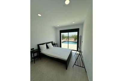 Obra nueva - Villa - Pinoso - Lel