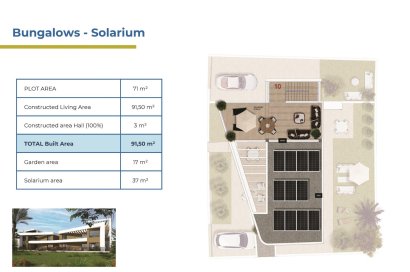 Obra nueva - Bungalow - Orihuela Costa - La Ciñuelica