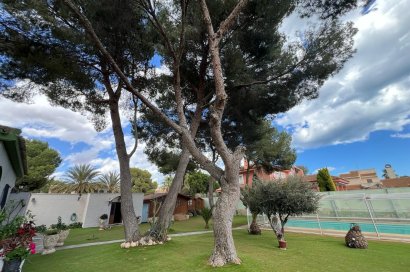 Reventa - Villa - Orihuela Costa - Campoamor