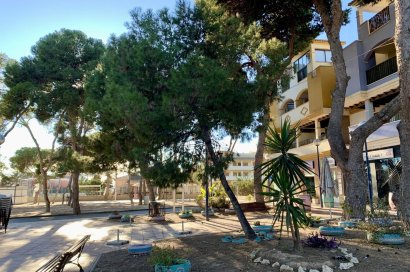 Obra nueva - Bungalow - San Javier - Roda Golf